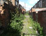 Higher Broughton In Bloom